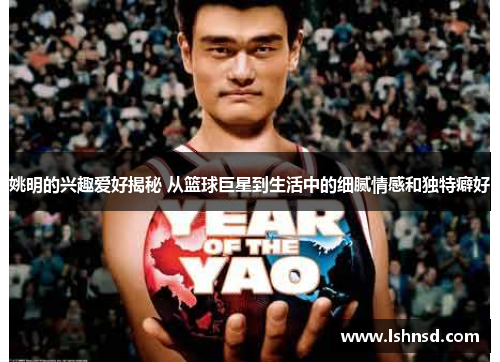 姚明的兴趣爱好揭秘 从篮球巨星到生活中的细腻情感和独特癖好