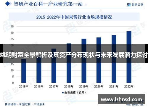 姚明财富全景解析及其资产分布现状与未来发展潜力探讨